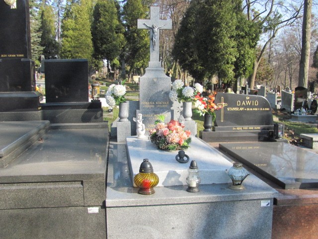 Grób Franciszek Topiarz